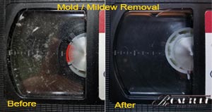 Mold & Mildew Removal