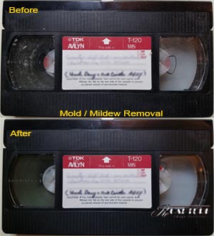 VHS mold removal